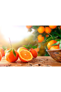 Холст "Апельсины на столе" Ecoramka