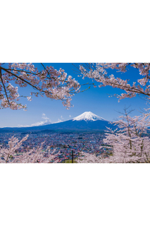 Холст "Горная вершина" Ecoramka