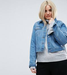 Синяя выбеленная джинсовая куртка ASOS CURVE - Синий