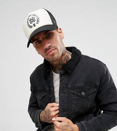 Состаренная кепка Mitchell & Ness эксклюзивно для ASOS - Черный