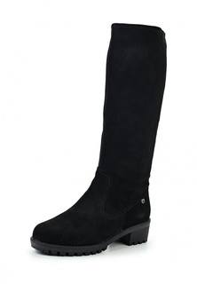 Сапоги Francesco Donni