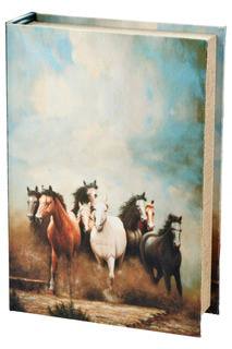 Шкатулка декоративная и сейф ENS