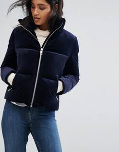 Бархатная пуховая куртка Tommy Hilfiger - Темно-синий