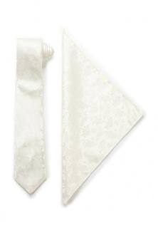 Комплект галстук и платок Carpenter