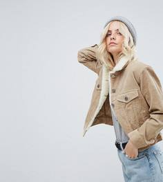 Светло-серая вельветовая куртка с воротником борг ASOS PETITE - Светло-серый