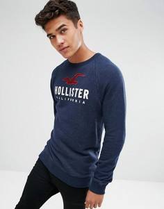 Темно-синий свитшот с круглым вырезом и большим логотипом Hollister - Темно-синий