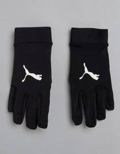 Черные перчатки Puma Football FIELD Player 04114601 - Черный