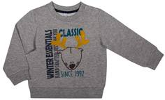 Джемпер для мальчика Barkito «Арктический патруль 2», серый