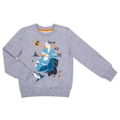 Джемпер для мальчика Barkito «Айсберг 1», серый