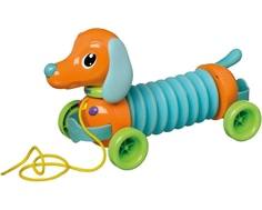 Развивающая игрушка-каталка Tomy «Музыкальный щенок Марли»