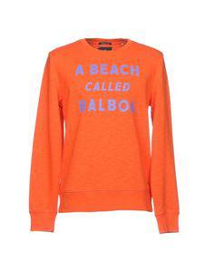 Толстовка Scotch &; Soda