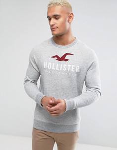 Серый свитшот с круглым вырезом и логотипом Hollister - Серый