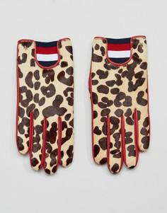 Кожаные перчатки с леопардовым принтом Tommy Hilfiger - Мульти