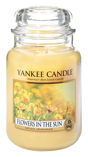 Ароматическая свеча Yankee Candle