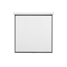Экран Digis Optimal-B DSOB-1105 220x220cm