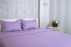 Постельное белье Этель Basic Комплект 2 спальный Lilac Страйп-Сатин 1551446