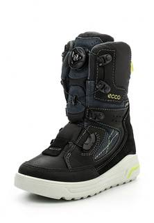 Сапоги Ecco URBAN SNOWBOARDER