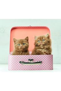 Холст "Котята в чемодане" Ecoramka