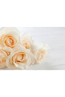 Холст "Белые розы" Ecoramka
