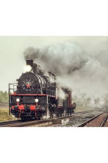 Холст "Поезд" Ecoramka