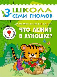 Книга «Школа Семи Гномов: Четвертый год обучения. Что лежит в лукошке»