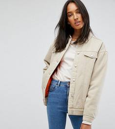 Песочная джинсовая куртка с уплотнителем ASOS TALL - Светло-бежевый