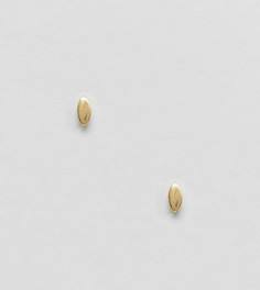 Серьги-гвоздики из позолоченного серебра ASOS - Золотой