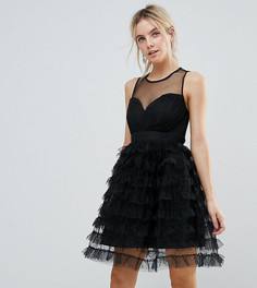 Ярусное платье мини из тюля Little Mistress Petite - Черный