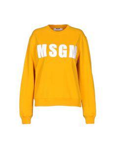 Толстовка Msgm