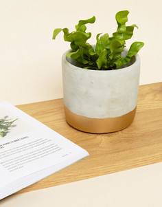 Кашпо Sass & Belle - Мульти