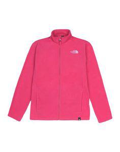 Толстовка The North Face