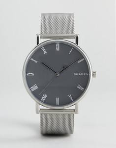 Часы с серебристым сетчатым браслетом Skagen SKW6428 - Серебряный