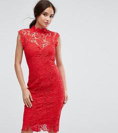 Кружевное платье-футляр с высоким воротом Paper Dolls - Красный