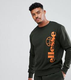 Зеленый свитшот с круглым вырезом Ellesse Tito - Зеленый