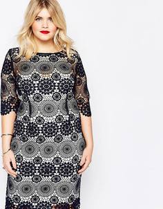 Кружевное платье‑футляр Paper Dolls Plus - Темно-синий