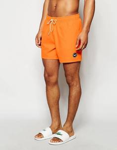 Однотонные шорты для плавания Hollister - Оранжевый
