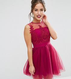 Платье мини для выпускного с пышной юбкой и вышивкой Chi Chi London Petite - Розовый