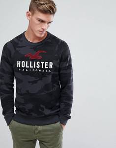 Темно-серый свитшот с крушлым вырезоом и логотипом Hollister - Кремовый