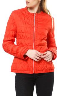 jacket Baronia