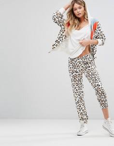 Спортивные брюки с леопардовым принтом в стиле ретро Wildfox - Белый