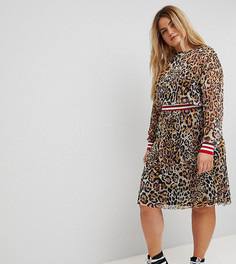 Сетчатое платье миди с леопардовым принтом и отделкой в рубчик ASOS CURVE - Мульти