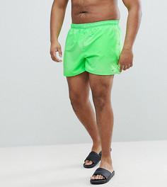 Зеленые короткие шорты для плавания Nike Plus Volley NESS8830-370 - Зеленый