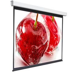Экран для видеопроектора Digis Electra-F, 1:1, 100", 186x189, MW (DSEF-1105)