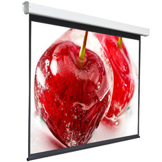 Экран для видеопроектора Digis Electra-F, 4:3, 150", 308x230, MW (DSEF-4305) Electra-F, 4:3, 150", 308x230, MW (DSEF-4305)