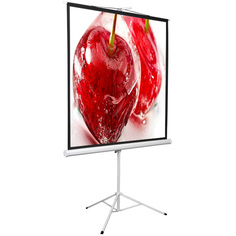 Экран для видеопроектора Digis Kontur-D, 1:1, 100", 186x189, MW (DSKD-1105)