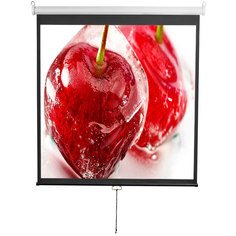 Экран для видеопроектора Digis Optimal-D, 1:1, 112", 206x209, MW (DSOD-1105) Optimal-D, 1:1, 112", 206x209, MW (DSOD-1105)