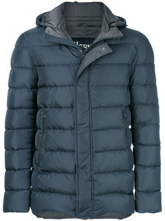 стеганый пуховик с капюшоном Herno