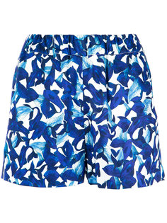 printed shorts Isolda