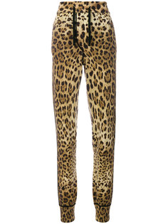 спортивные брюки с леопардовым принтом Dolce & Gabbana