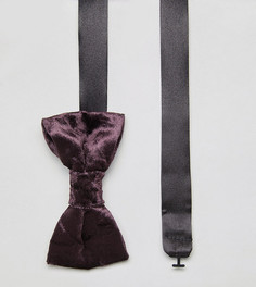 Бархатный галстук-бабочка Noose & Monkey - Фиолетовый
